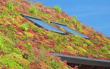 Quarry Hill living roof systems