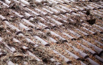 Quarry Hill roof cleaning companies